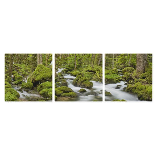Lienzos de bosques Mossy Stones Switzerland