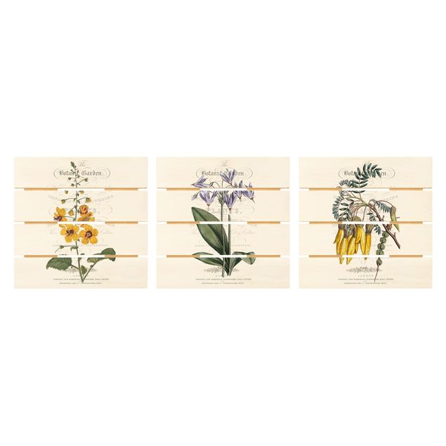 Cuadros decorativos Botanical Tableau Set I