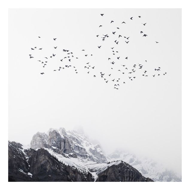 Cuadros de paisajes de montañas Flock Of Birds In Front Of Mountains Black And White