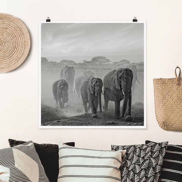 Cuadros de elefantes Herd Of Elephants