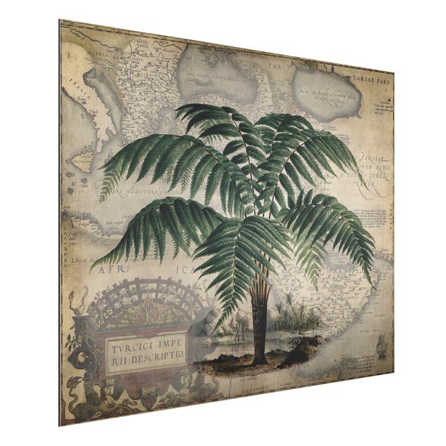 Decoración en la cocina Vintage Collage - Palm And World Map