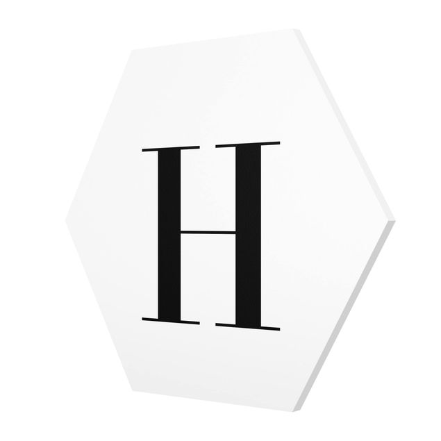 cuadros hexagonales Letter Serif White H