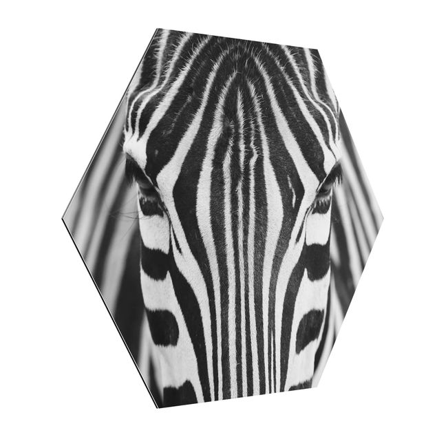Cuadros de África Zebra Look
