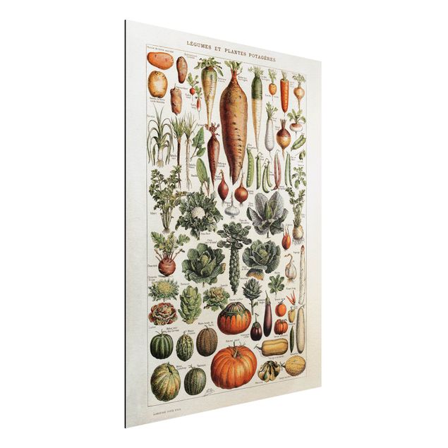 Decoración en la cocina Vintage Board Vegetables