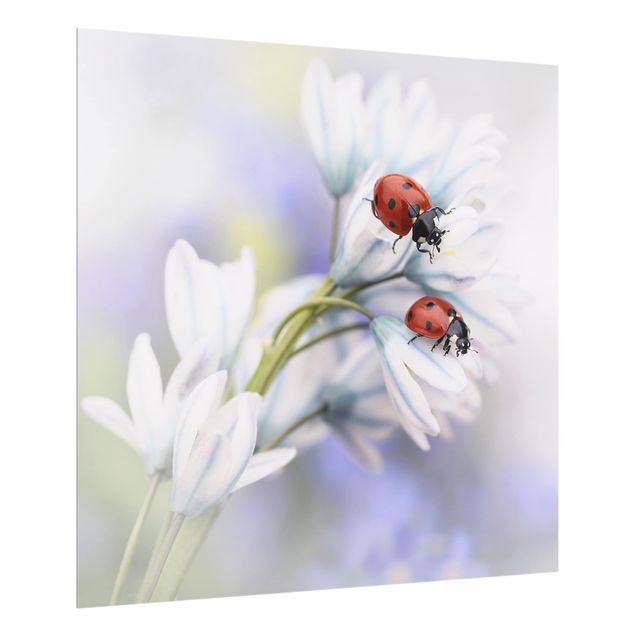 panel-antisalpicaduras-cocina Ladybug On Flowers