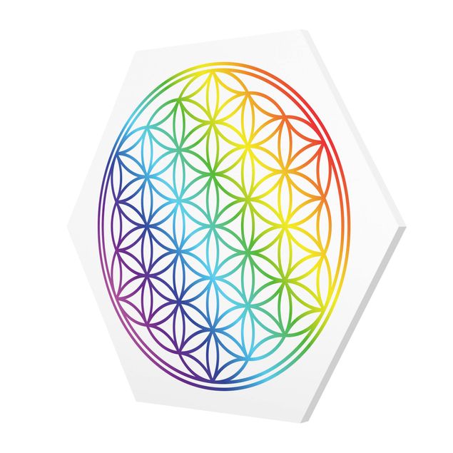 cuadros hexagonales Flower of Life rainbow color