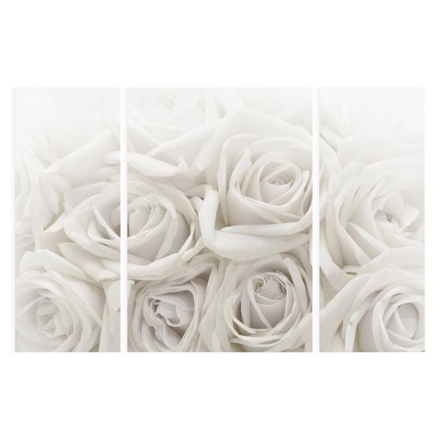 Cuadros de flores White Roses