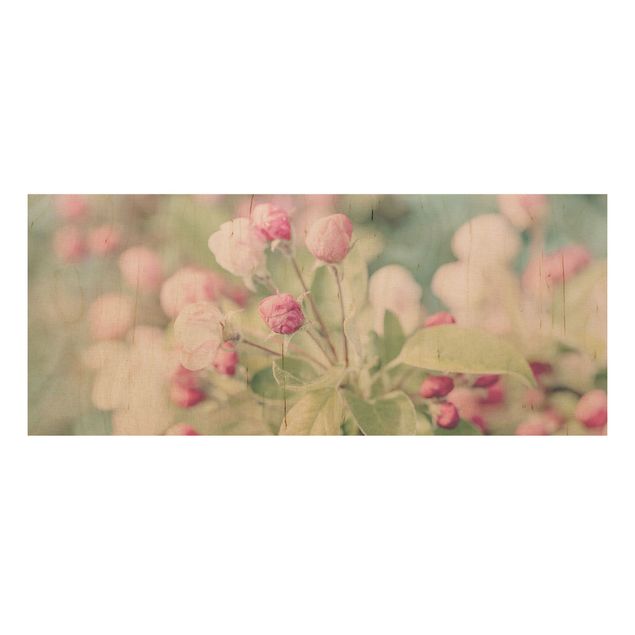 Cuadros de madera flores Apple Blossom Bokeh Light Pink