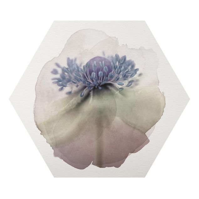 Cuadros WaterColours - Anemone In Violet