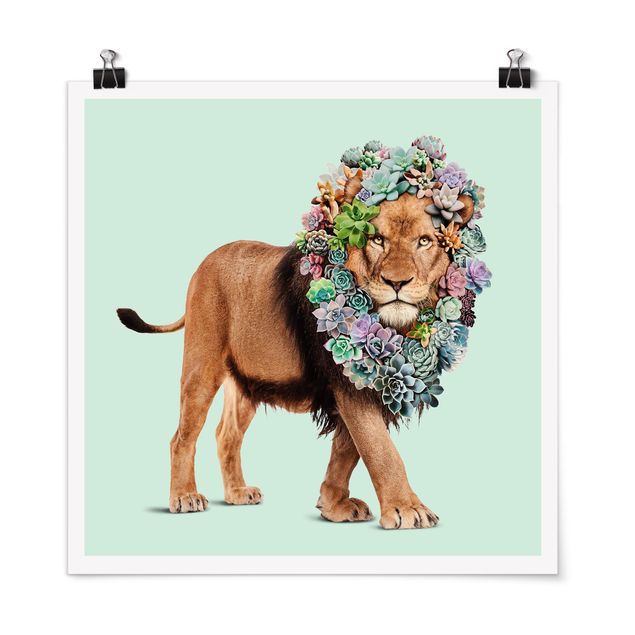 Cuadro de león Lion With Succulents