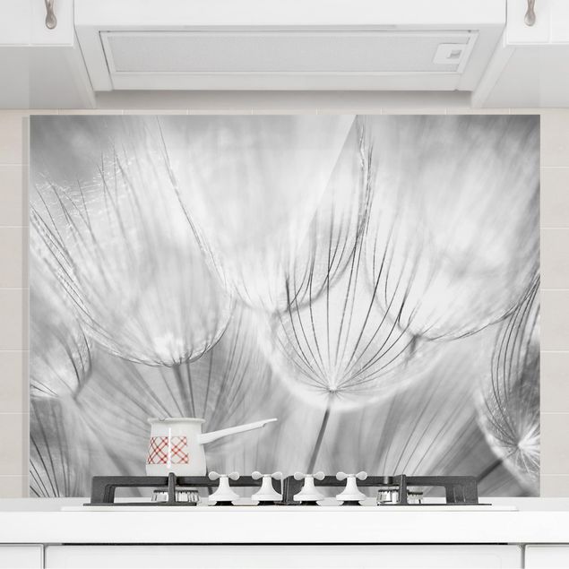 Decoración en la cocina Dandelions Macro Shot In Black And White