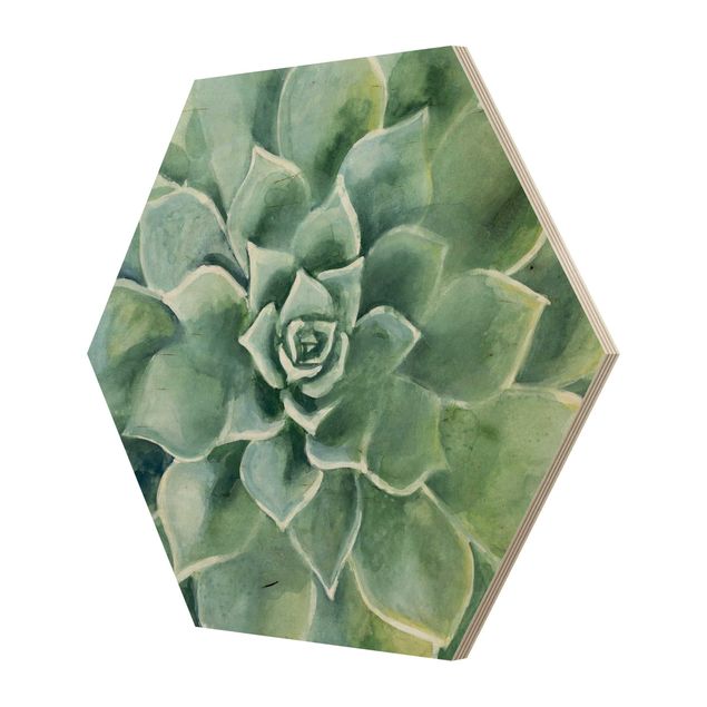 Hexagon Bild Holz - Sukkulente Aquarell Dunkel