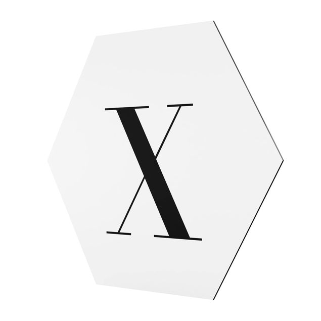 cuadros hexagonales Letter Serif White X