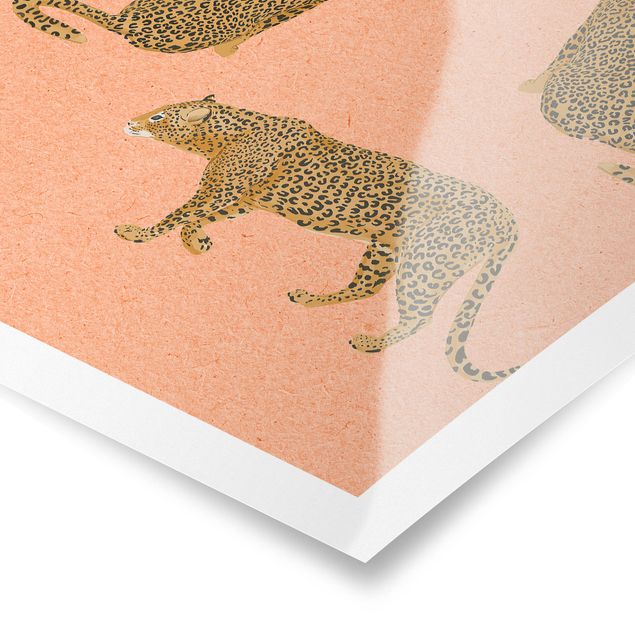 Cuadros naranja Illustration Leopard Pink Painting