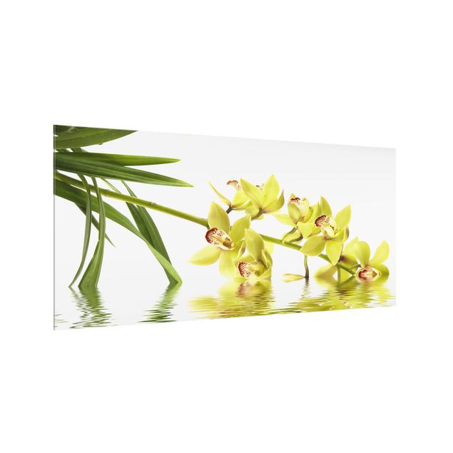 Paneles de vidrio para cocinas Elegant Orchid Waters