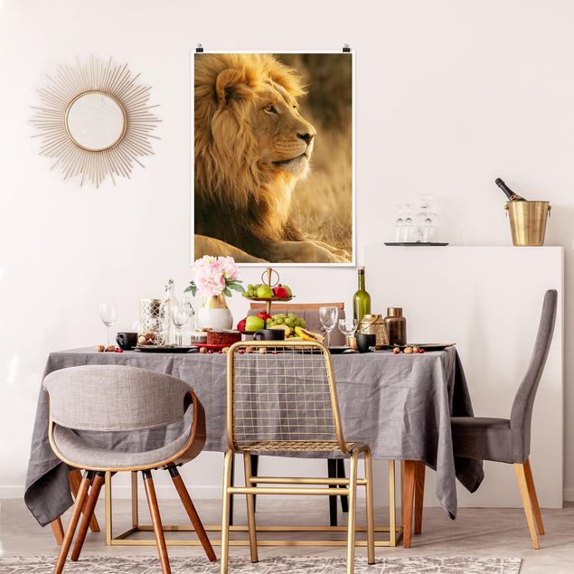 Láminas animales King Lion