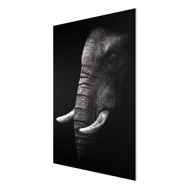 Cuadro con paisajes Dark Elephant Portrait