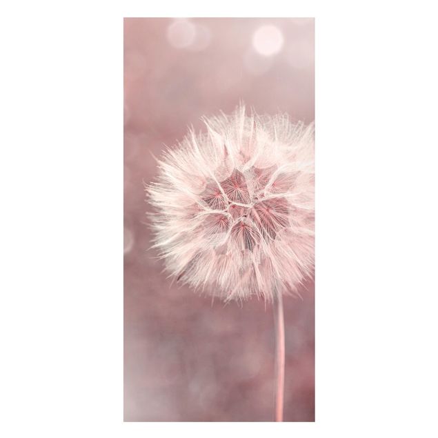 Tableros magnéticos flores Dandelion Bokeh Light Pink