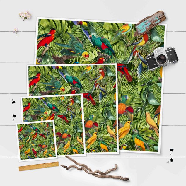 Cuadros decorativos Colourful Collage - Parrots In The Jungle