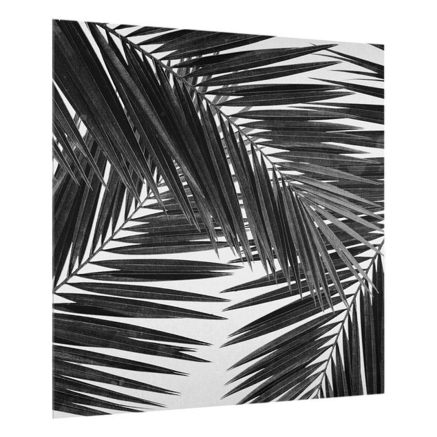 panel-antisalpicaduras-cocina View Through Palm Leaves Black And White