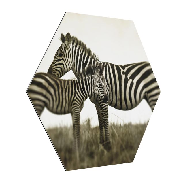 Cuadros modernos y elegantes Zebra Couple