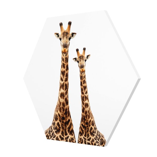 cuadro hexagonal Portait Of Two Giraffes