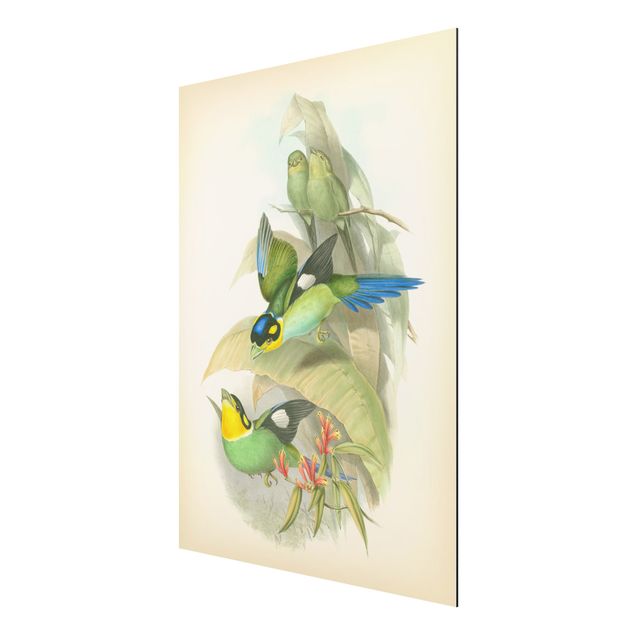 Cuadros de flores Vintage Illustration Tropical Birds