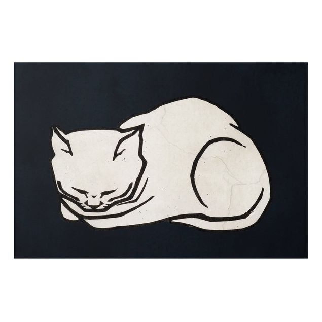 Cuadros de gatos Sleeping Cat Illustration
