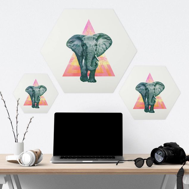 cuadros hexagonales Illustration Elephant Front Triangle Painting