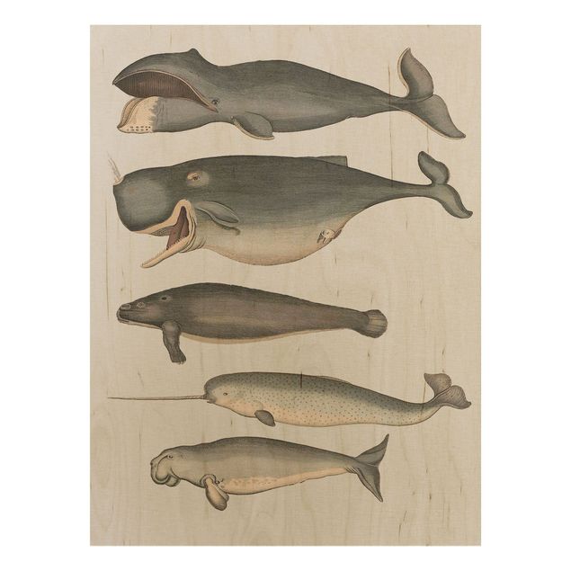 Cuadros vintage madera Five Vintage Whales