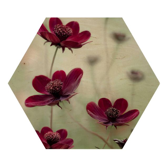 Hexagon Bild Holz - Pinke Kosmeen