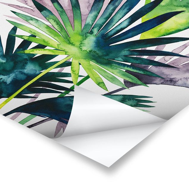 Láminas decorativas Exotic Foliage - Fan Palm