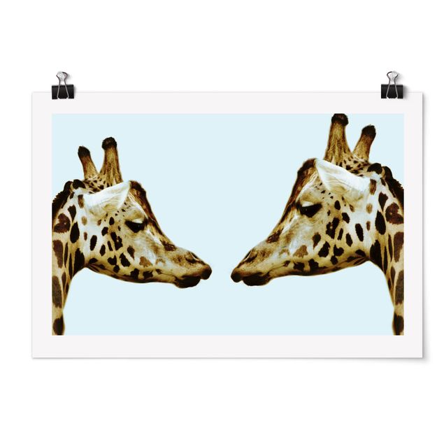 Cuadros de África Giraffes In Love