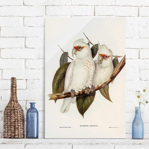 Decoración cocina Vintage Illustration White Cockatoo