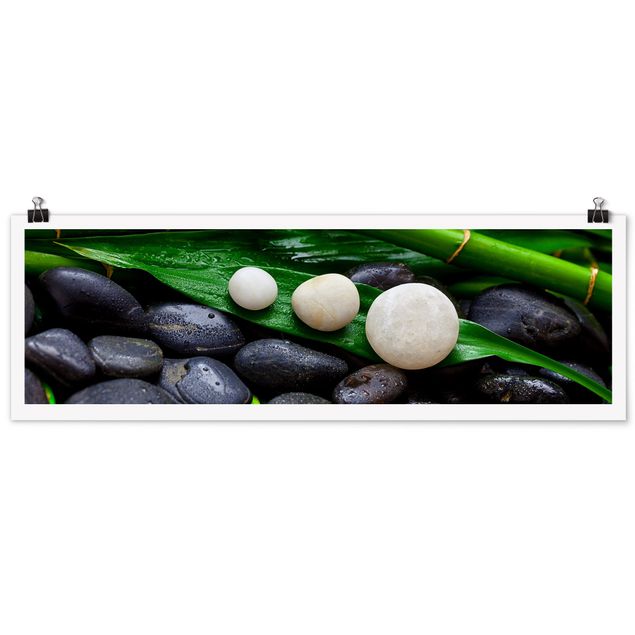 Cuadros de plantas Green Bamboo With Zen Stones