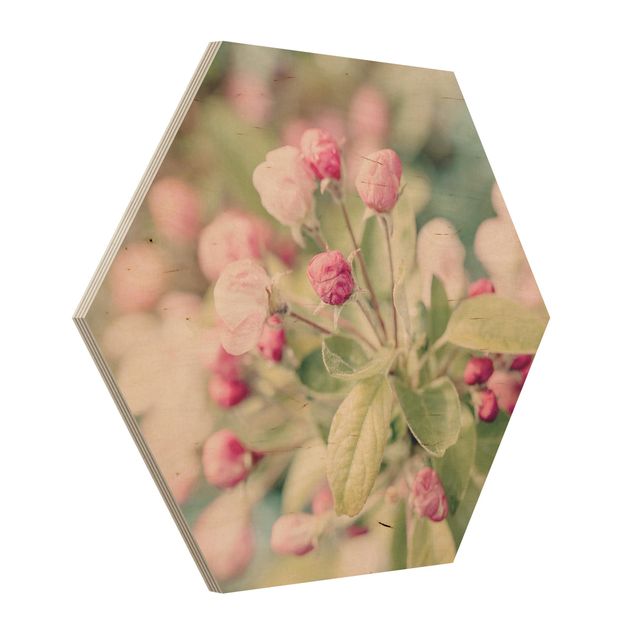 Cuadros de flores Apple Blossom Pink Bokeh