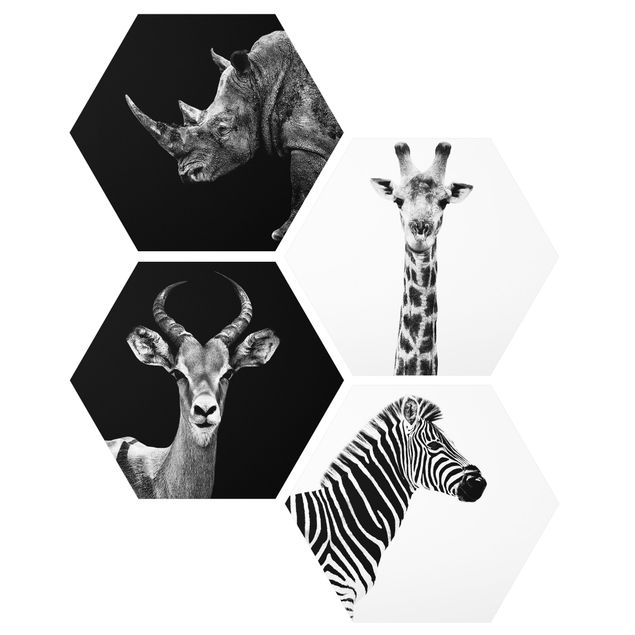 Cuadros modernos Safari Quartet