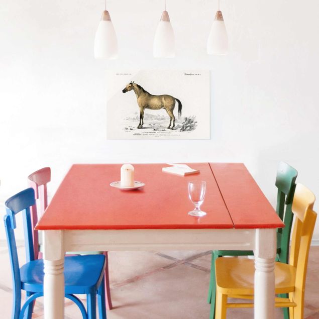 Cuadros de cristal animales Vintage Board Horse