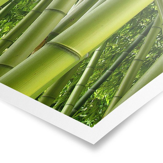 Póster de paisajes Bamboo Trees