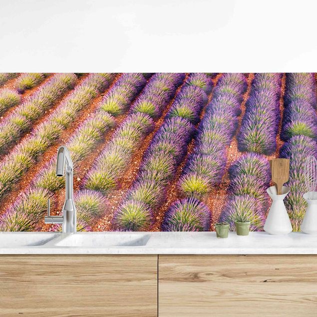 Decoración cocina Picturesque Lavender Field