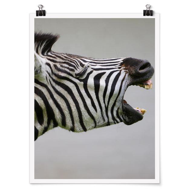 Cuadros africanos modernos Roaring Zebra