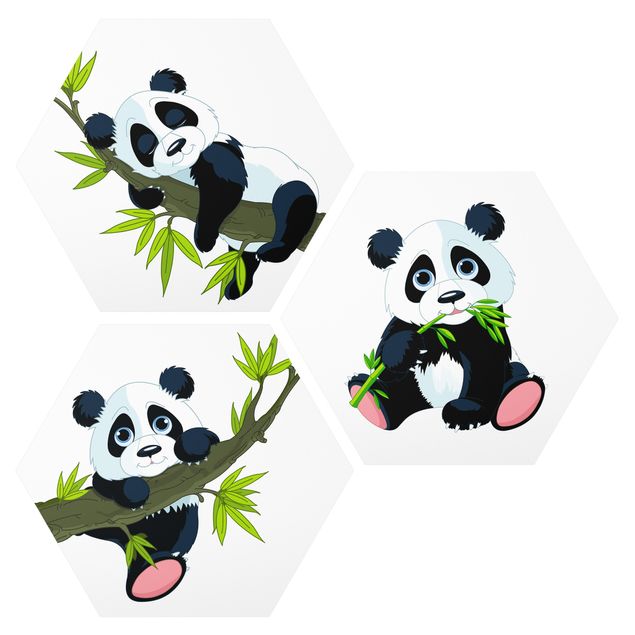 Cuadros de árboles Panda set