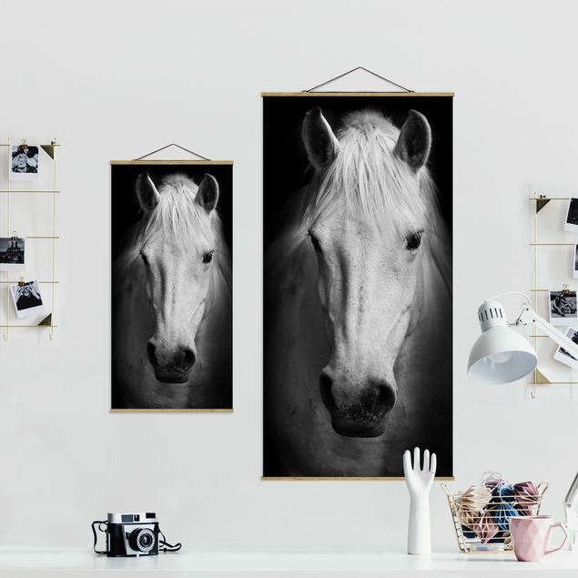 Cuadros decorativos Dream Of A Horse