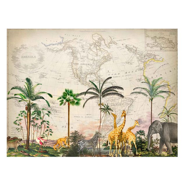 Tableros magnéticos flores Vintage Collage - Wildlife On World Map