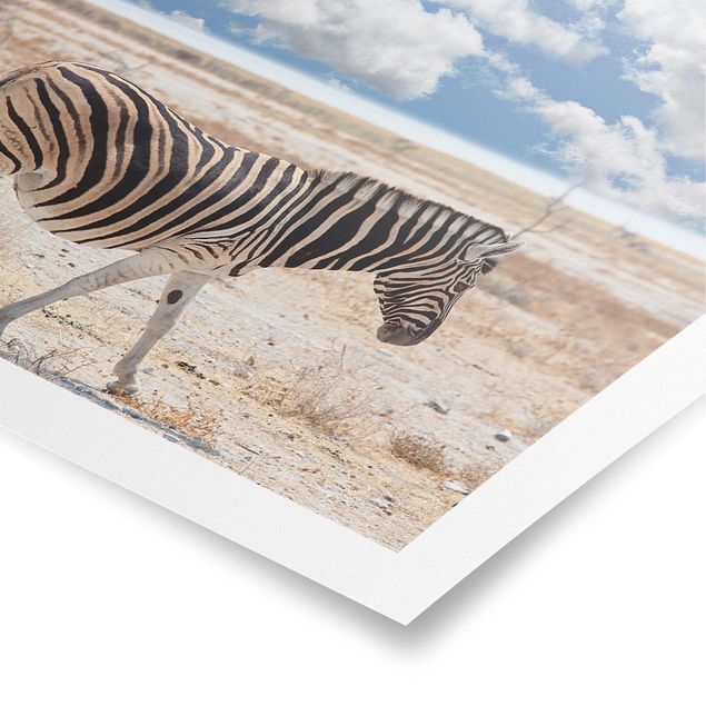 Póster paisajes para pared Zebra In The Savannah