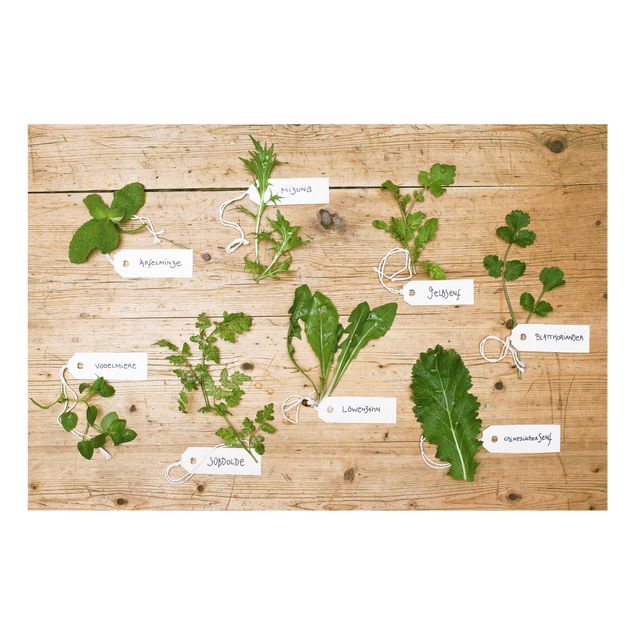 panel-antisalpicaduras-cocina Herbs With Labeling