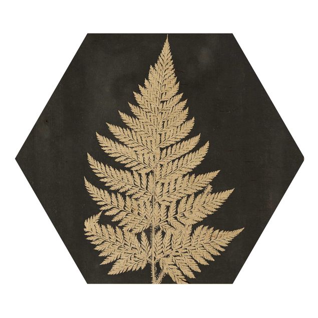 cuadro hexagonal Fern With Linen Structure I