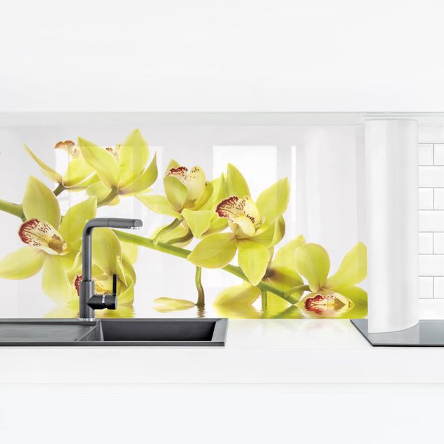 Salpicaderos de cocina Elegant Orchid Waters