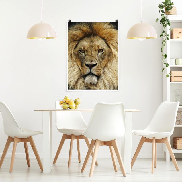Láminas animales Wisdom Of Lion