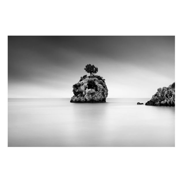 Cuadros paisajes Rocky Island In The Sea Black And White